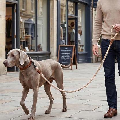 Braided Cotton Rope Dog Leash with Leather Tip - Heavy-Duty Metal Clasp, 6FT Length, 1/2" Thickness - Ideal for Walking, Training, and Weddings for Small to Large Dogs (Light Brown)